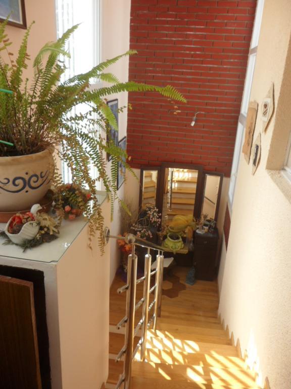 שיבניק Apartments Ema מראה חיצוני תמונה